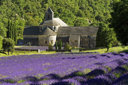 France, Senanque