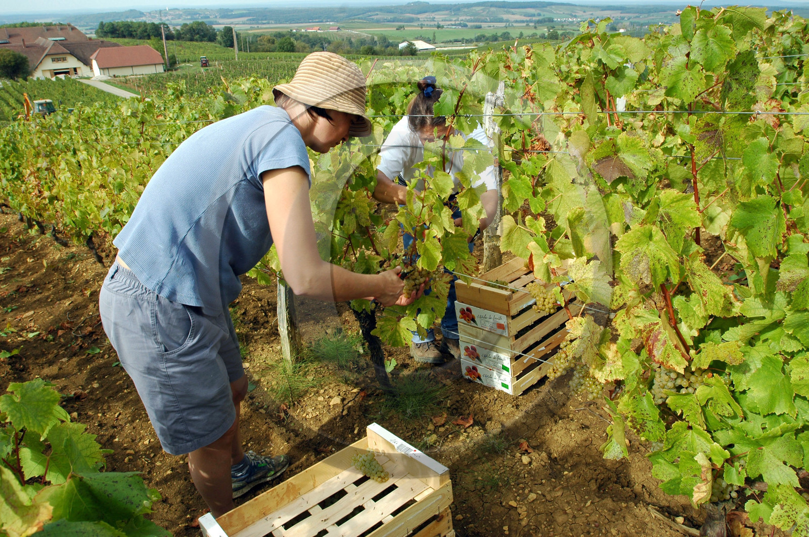 Franche-Comte, France