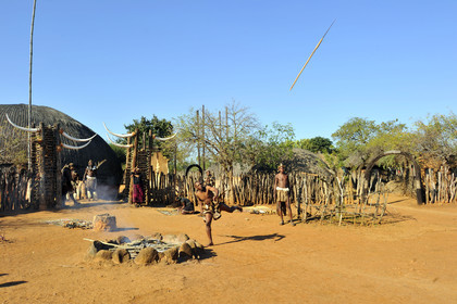 AFS, Shakaland
