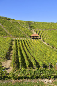 France, Dambach la Ville