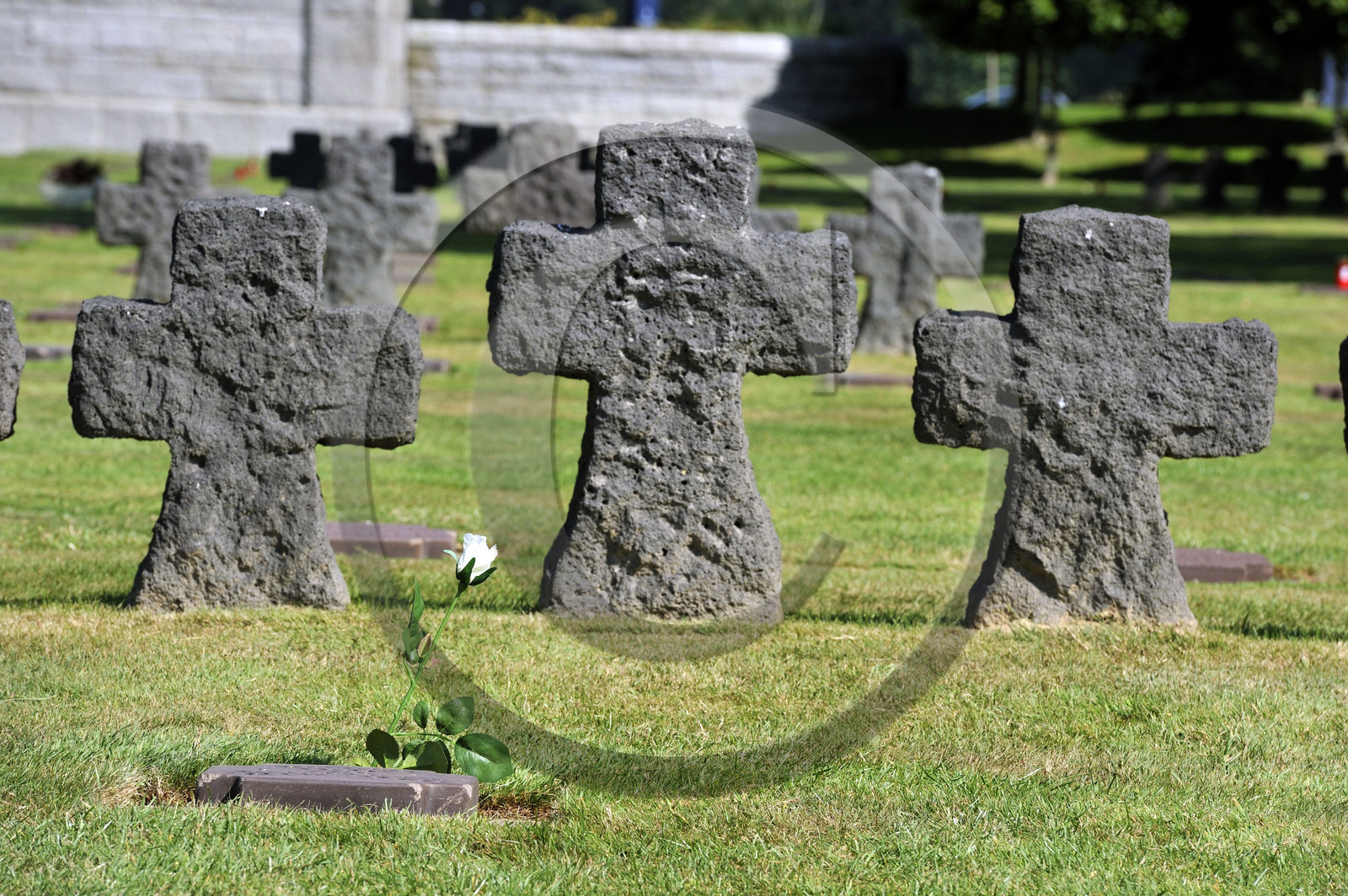 France, debarquement