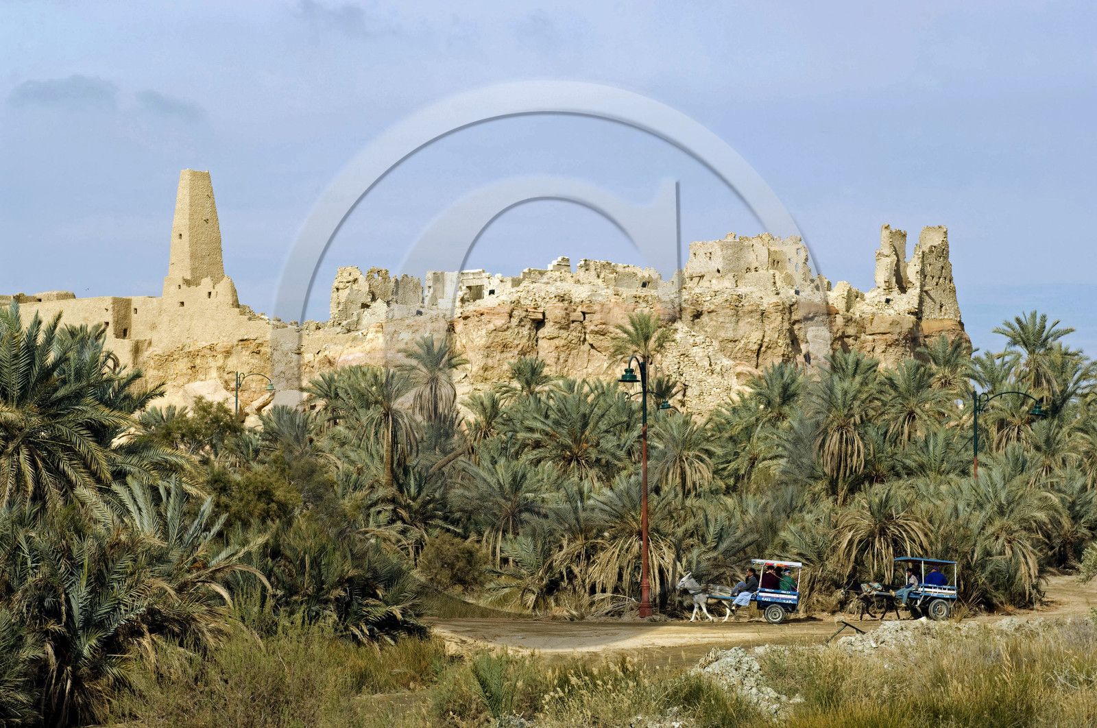 Egypte, Siwa