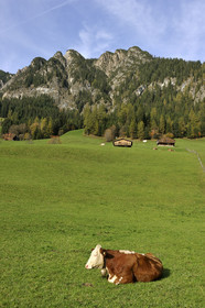 Autriche, Tyrol
