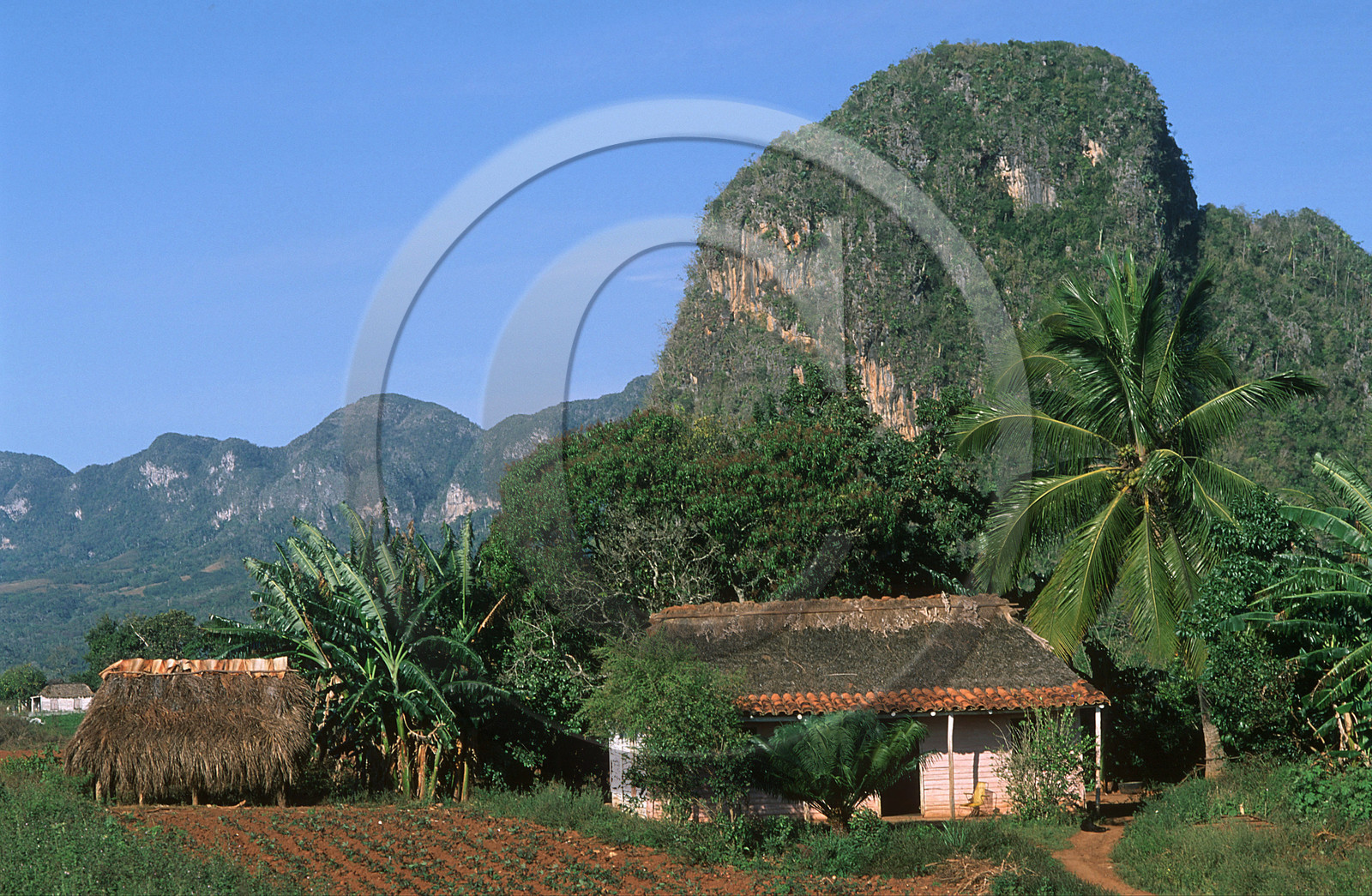VINALES.CUBA