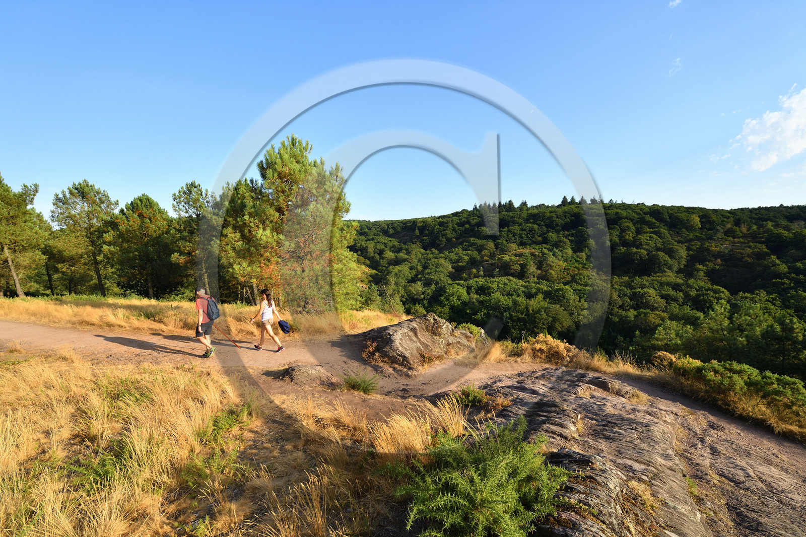 France, Brocéliande