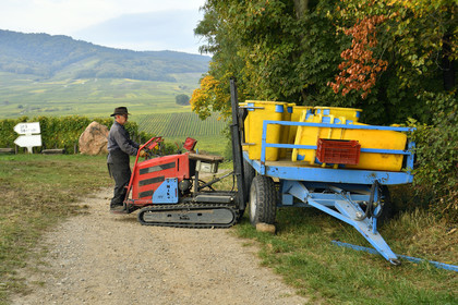 France, Dambach la Ville