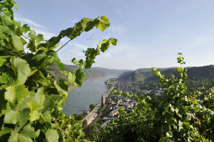 Allemagne, Rhin