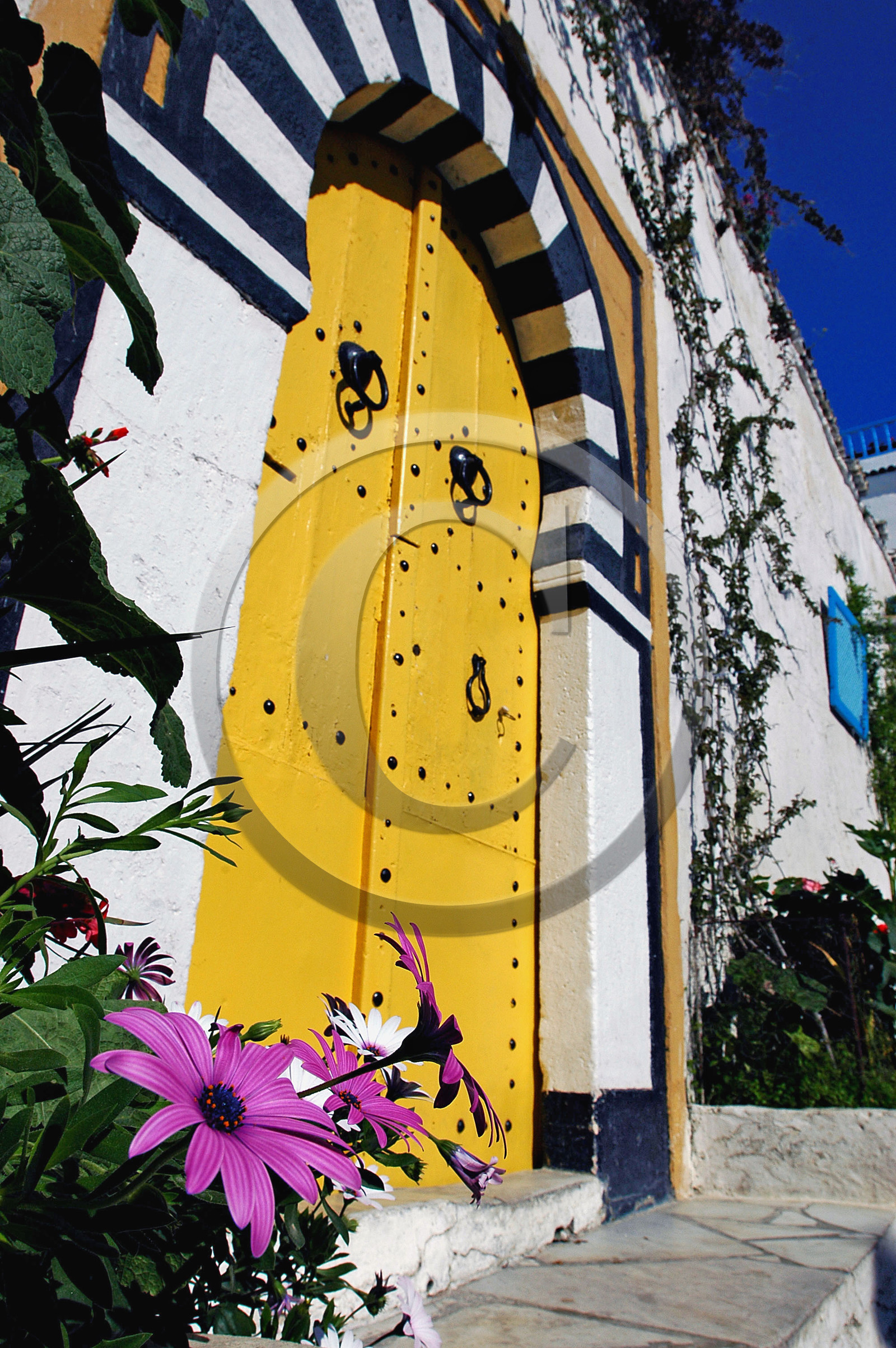 Sidi Bou Said, Tunisie