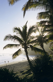 Ile de la Réunion.France
