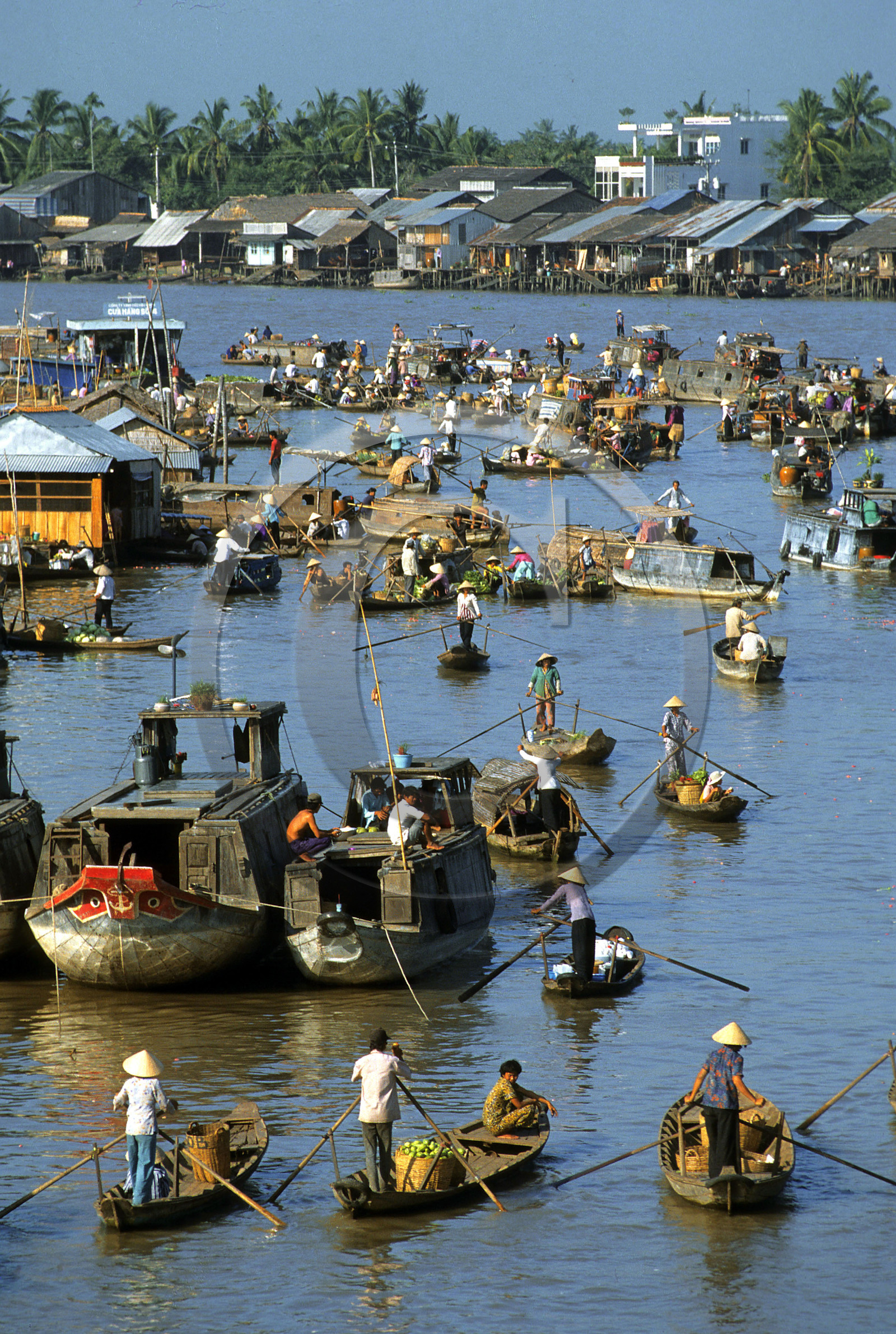 Delta du Mékong, Vietnam