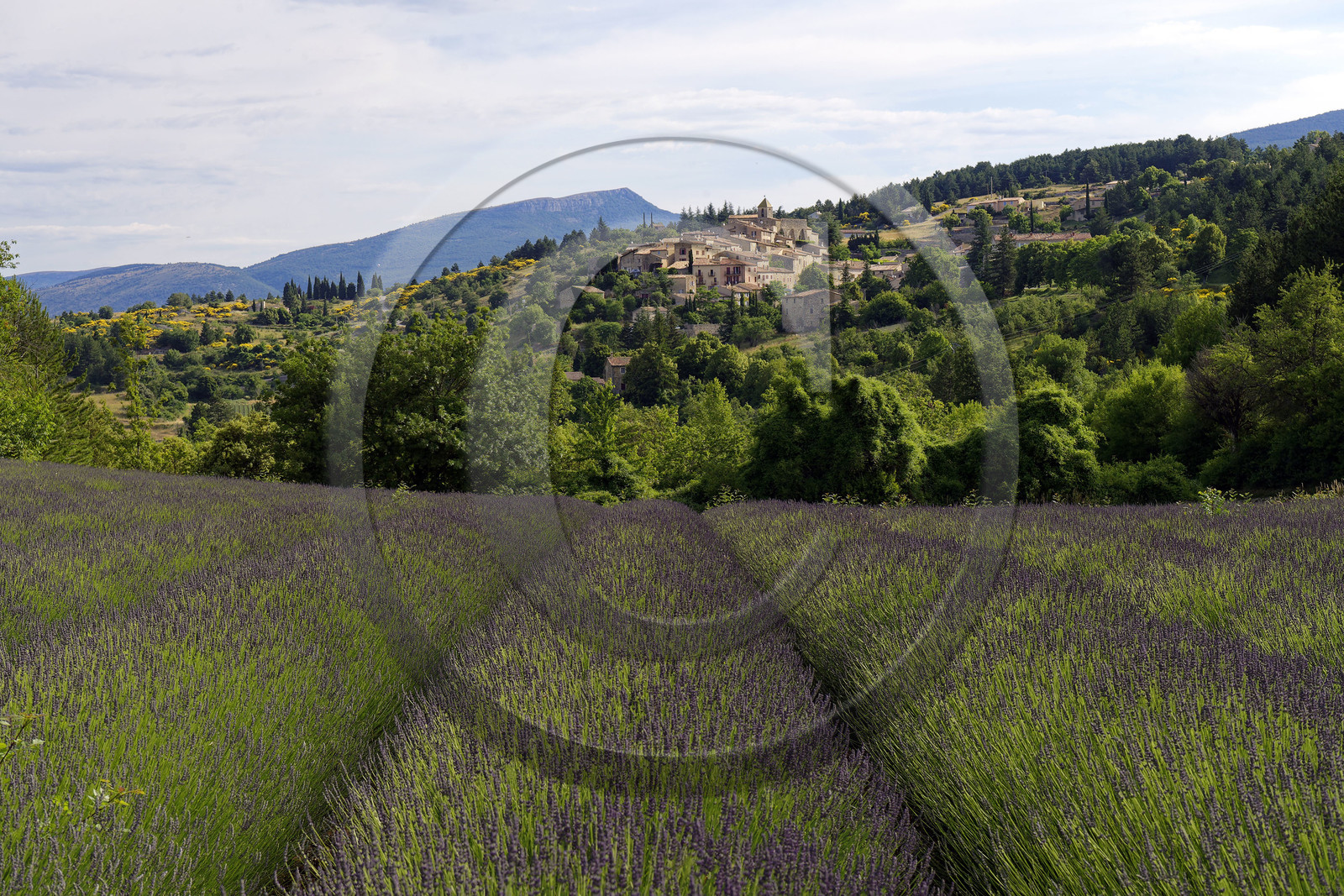 France, Mont Ventoux