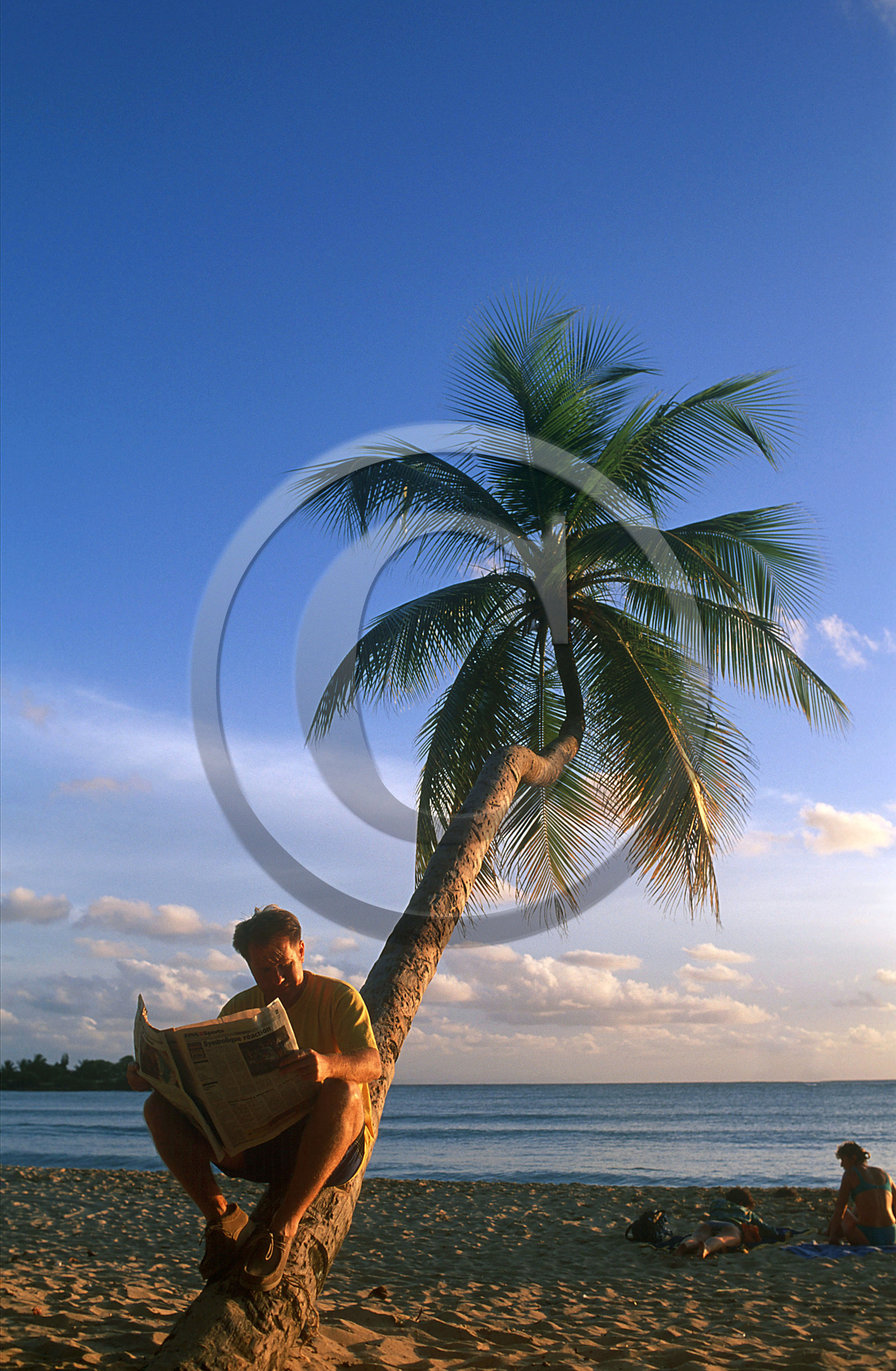 Plage des Salines. Martinique. Antilles Françaises