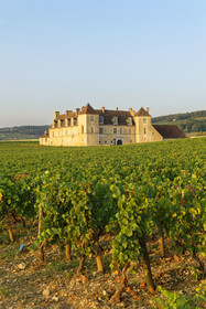France, Vougeot
