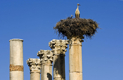 Volubilis, Morokko