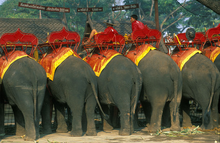 THAILANDE   AYUTHAYA