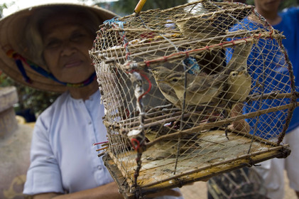 DELTA DU MEKONG.VIETNAM