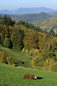 France, Grand Ballon