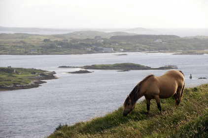 Irlande, Clifden