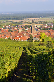 France, Dambach la Ville