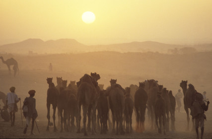 Pushkar, Rajasthan, Inde