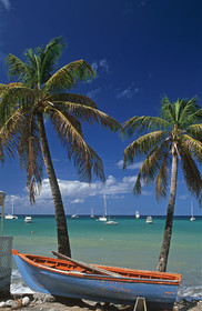 Deshaies.Guadeloupe. Antilles Françaises