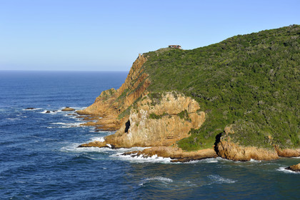 AFS, Knysna