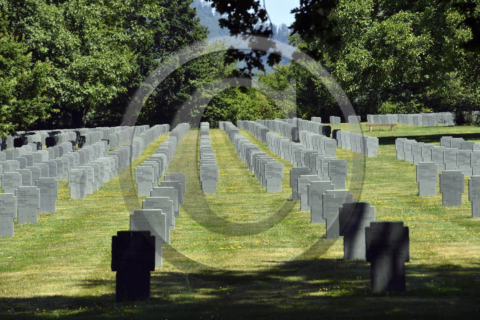 France,  Niederbronn