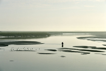 France, Baie de Somme