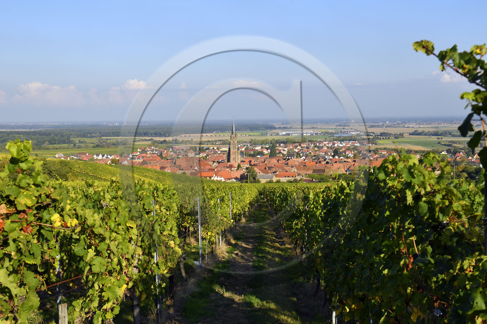 France, Dambach la Ville