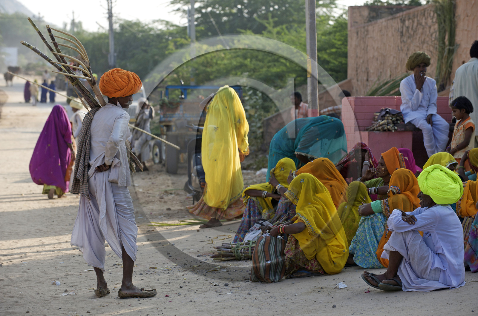 Inde, Pushkar