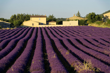France, Simiane la Rotonde