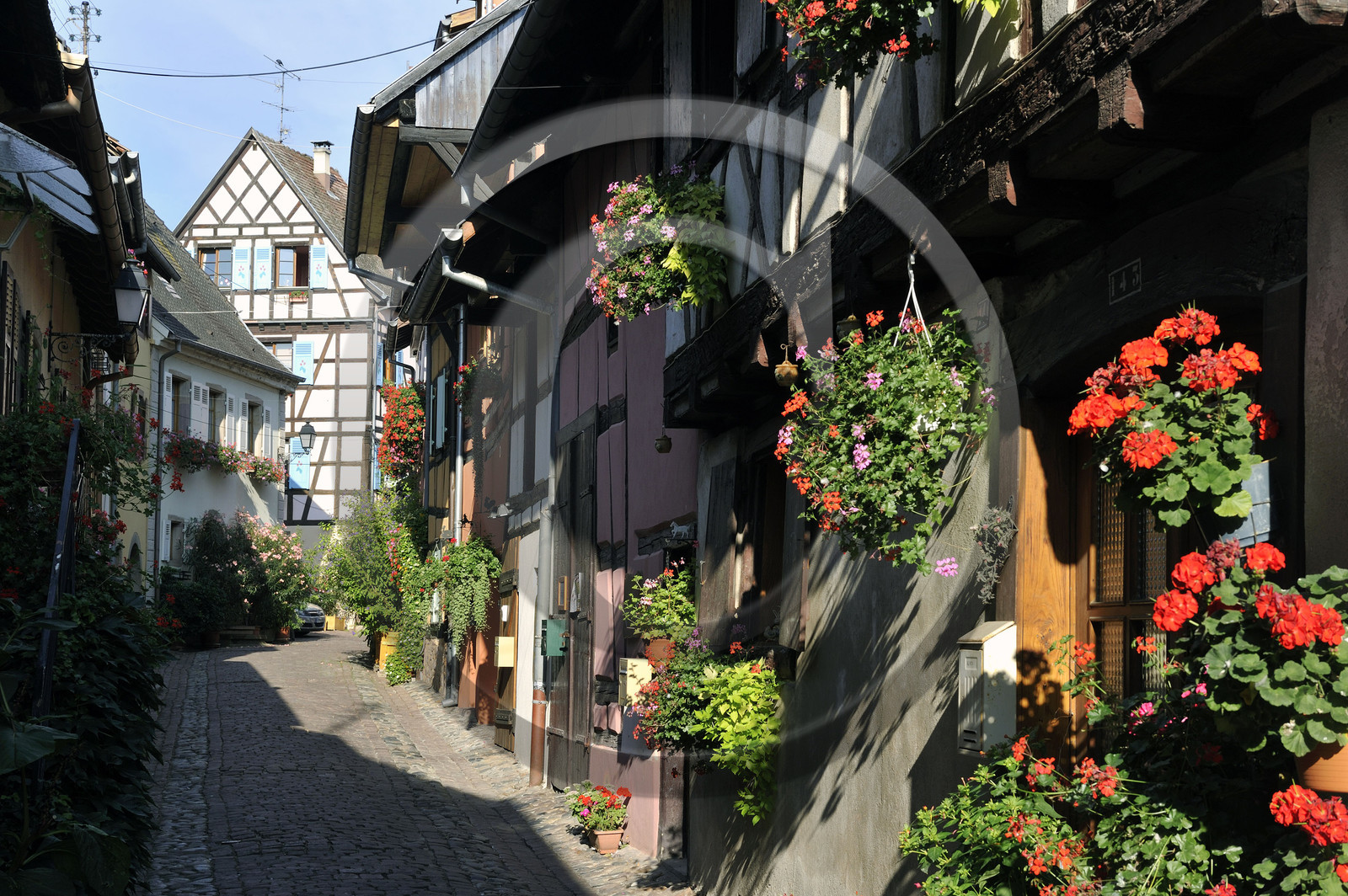 France, Eguisheim