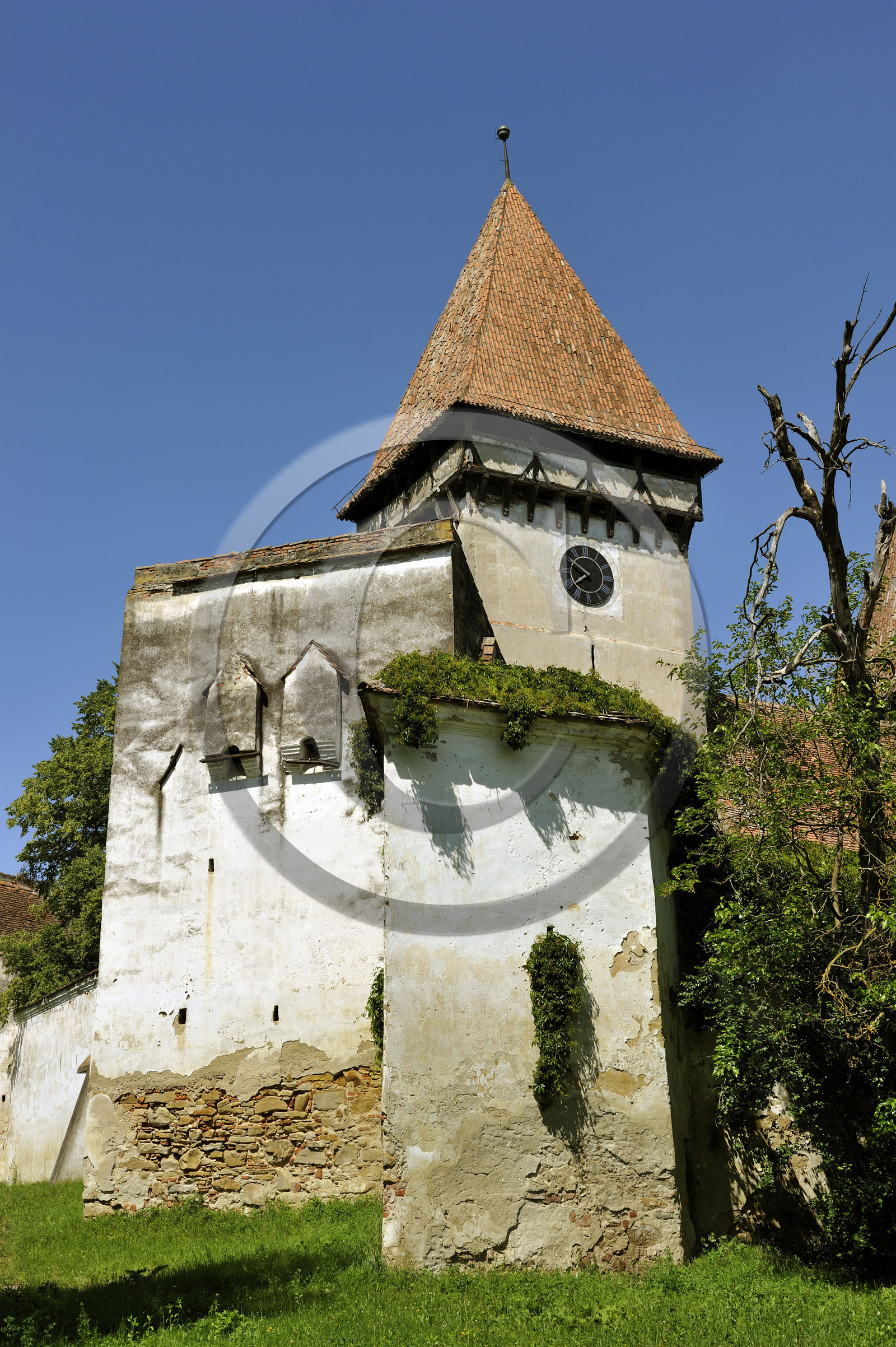 Roumanie, Transylvanie