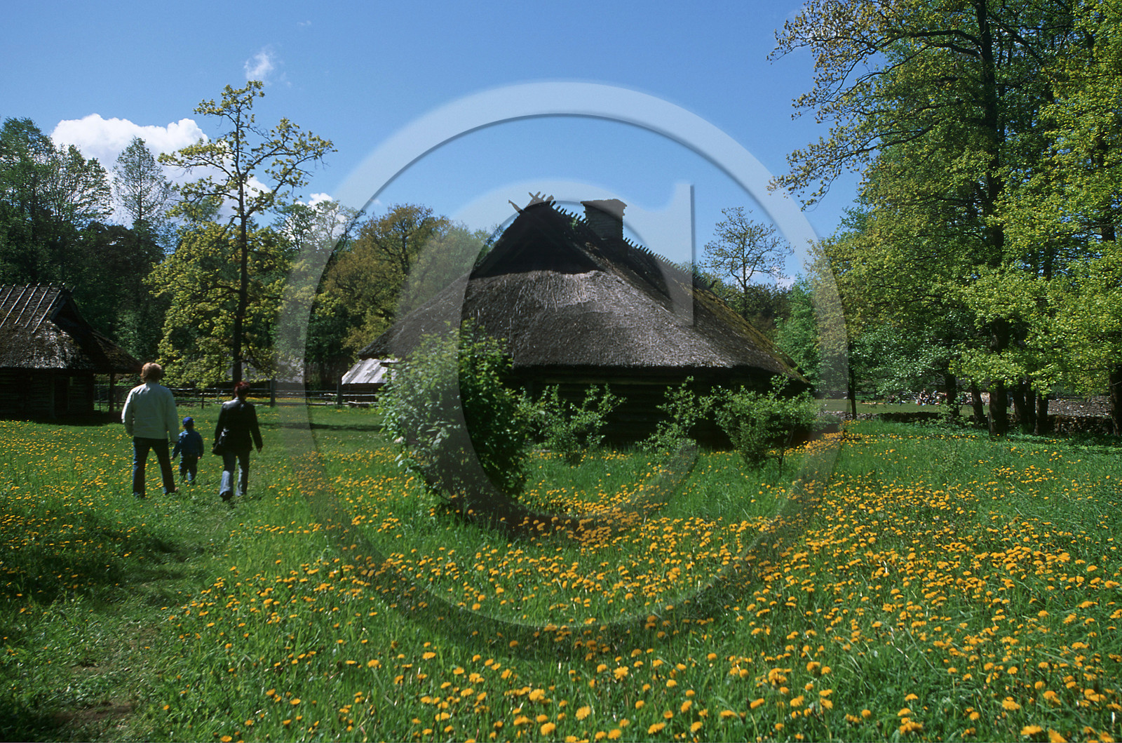 Estonie, Pays Baltes