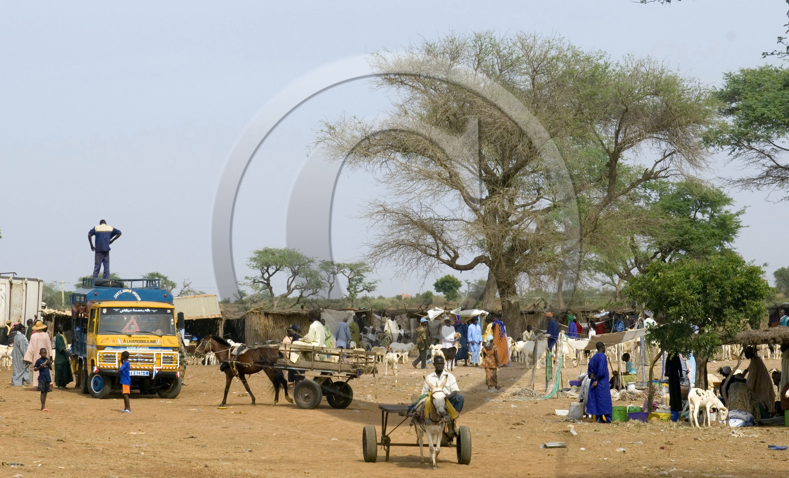 Marché, Sénégal