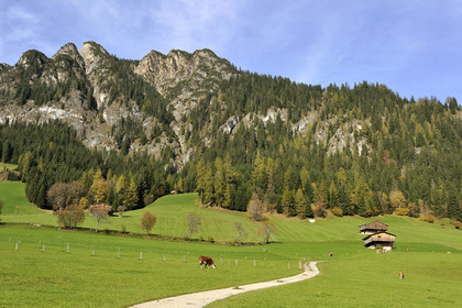 Autriche, Tyrol