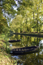 France, Marais Poitevin