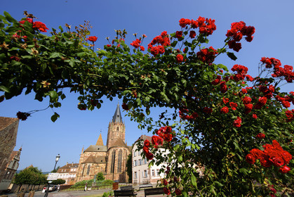France, Wissembourg