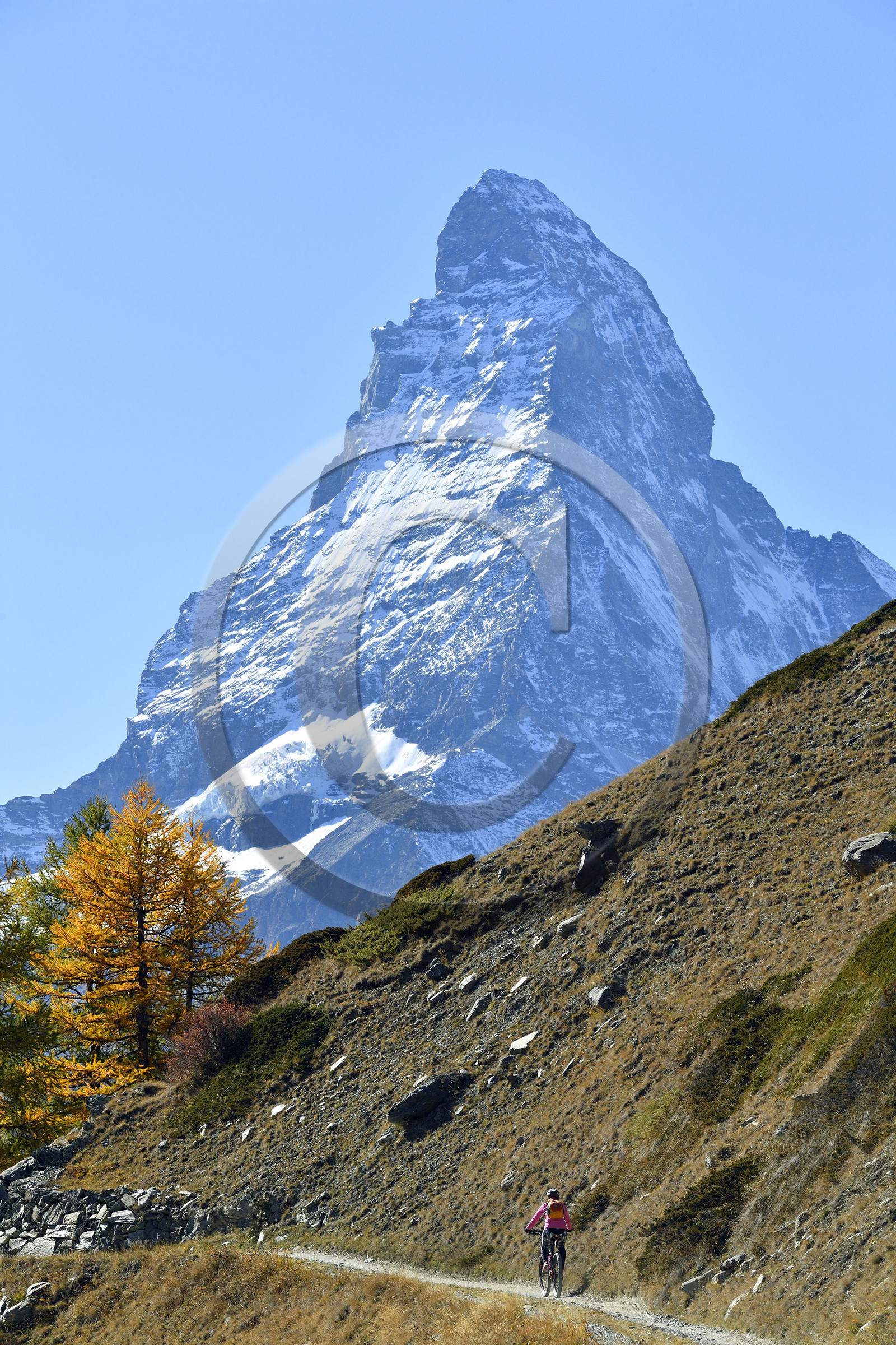 Suisse, Zermatt
