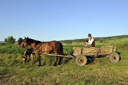 Roumanie, Transylvanie