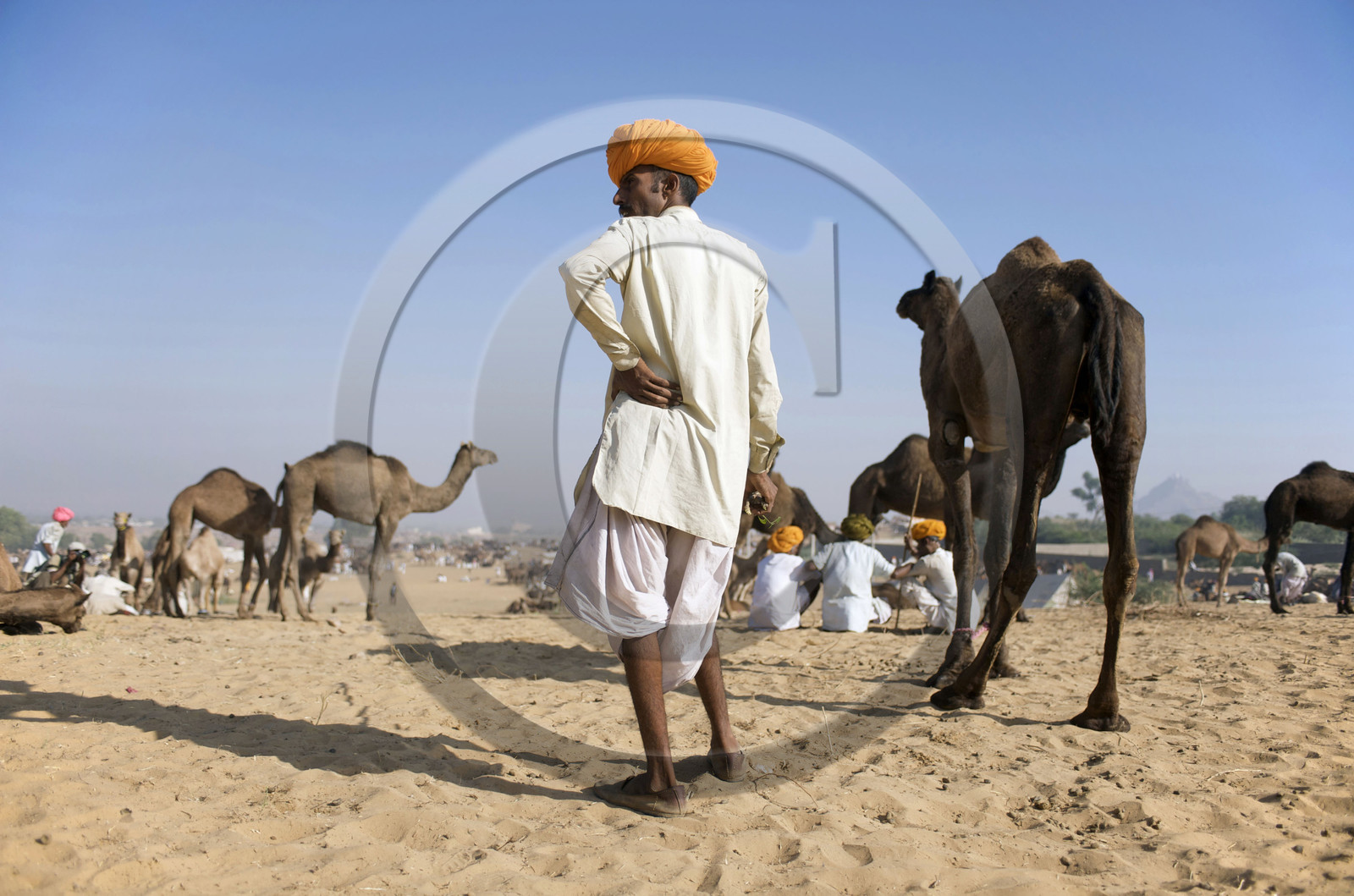 Inde, Pushkar