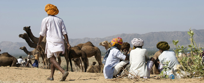 Inde, Pushkar