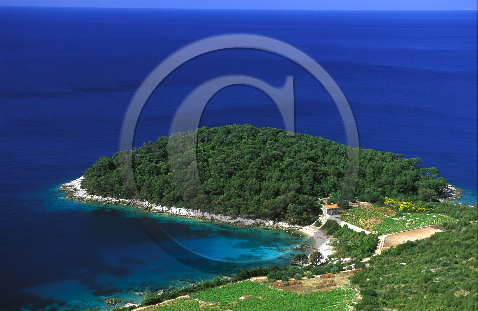 PRESQU' ILE DE PELJISAC. CROATIE