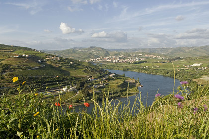 Douro, Portugal