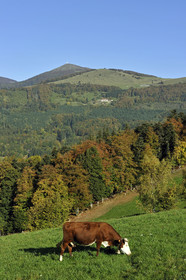 France, Grand Ballon