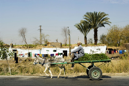 Egypte, Vallée du Nil