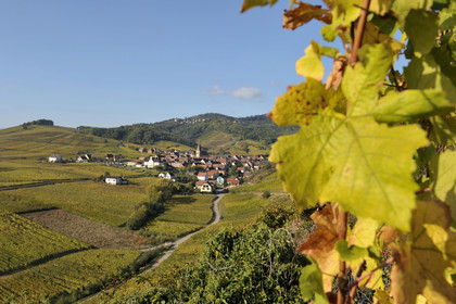 France, Niedermorschwihr