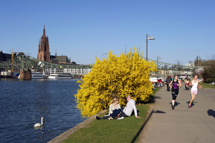 Allemagne, Francfort