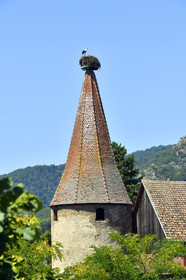 France,  Ribeauville