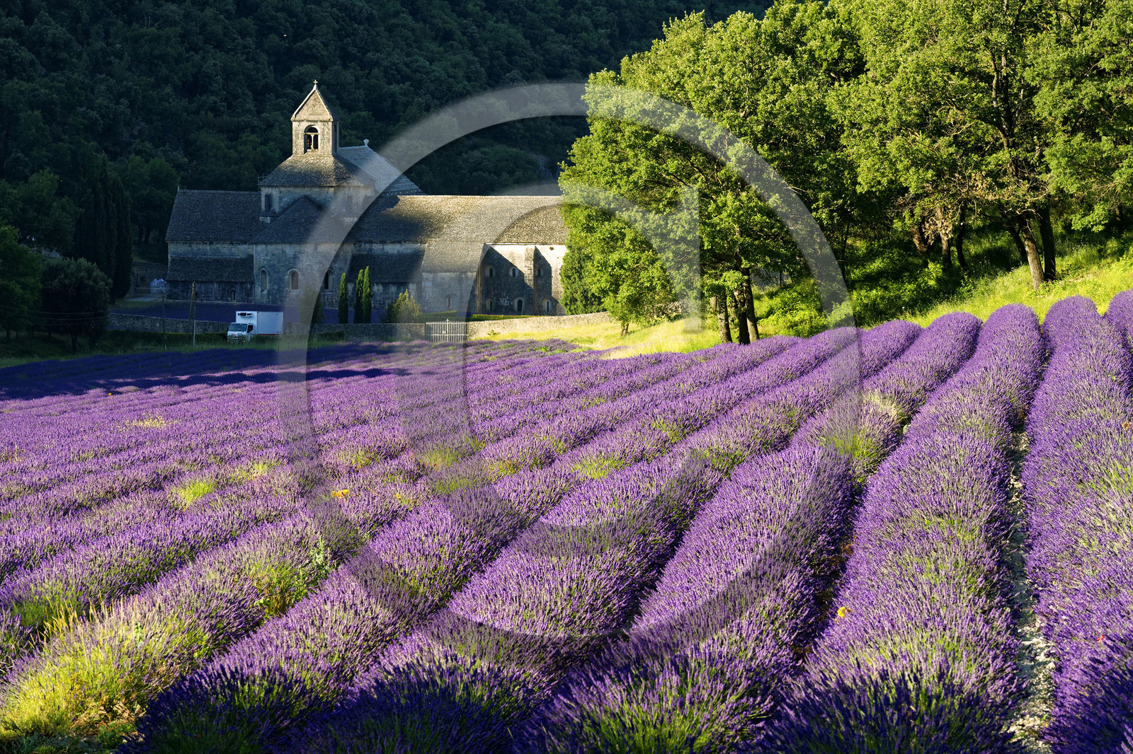 France, Senanque